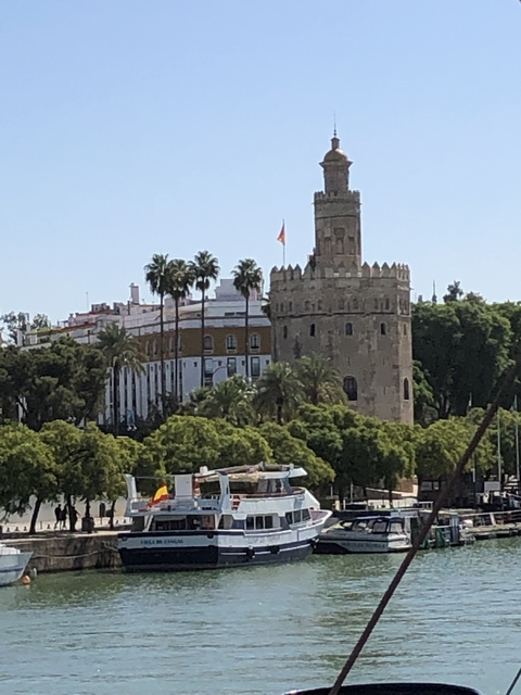       Tower with palm trees and historical building in the background.
  