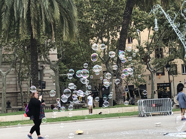       People in a park with bubbles floating around.
  