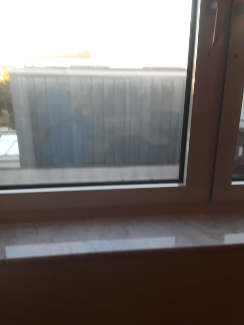 Blurred window view.