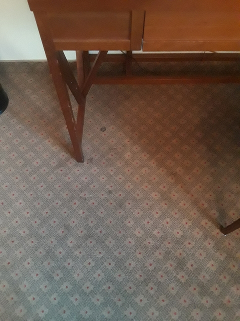 Carpet and furniture legs in a room corner.