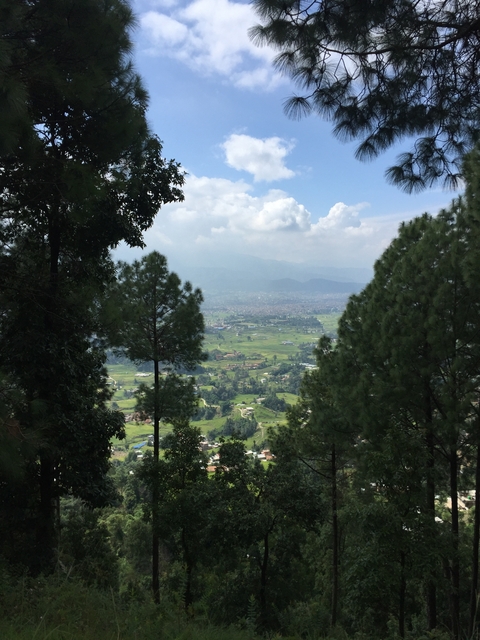       View of a green valley with trees in the foreground.
  