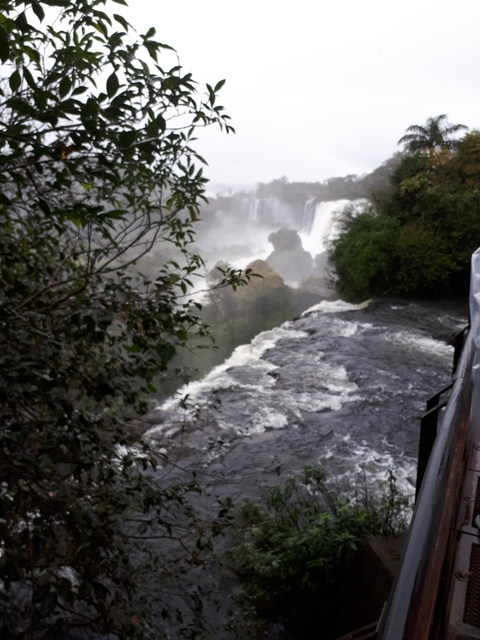 View of a misty waterfall with surrounding foliage.