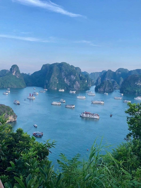 Panoramic view of Halong Bay with many boats and limestone karsts.