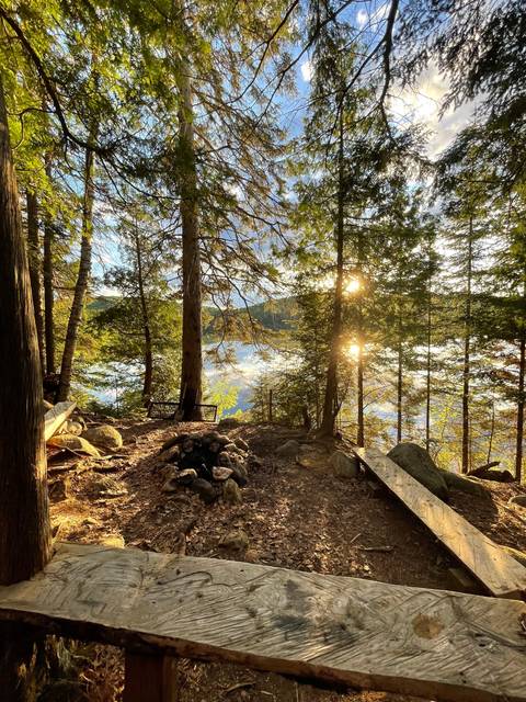 Scenic forest view with the sun setting over a lake.