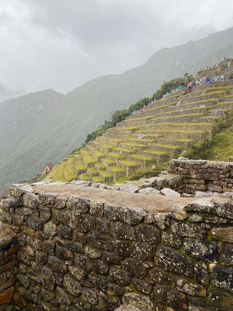 Terraced hillside landscape.