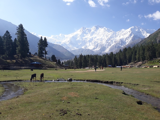 A scenic view of Fairy Meadows with snow-capped mountains and a stream.