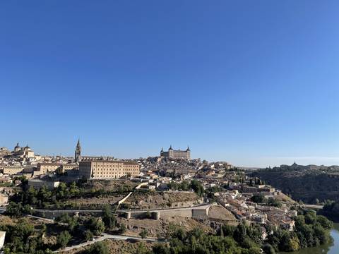 Skyline view of a city with historical buildings.