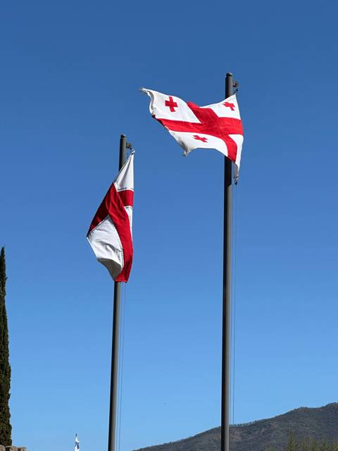       Flags fluttering in the wind against a blue sky.
  