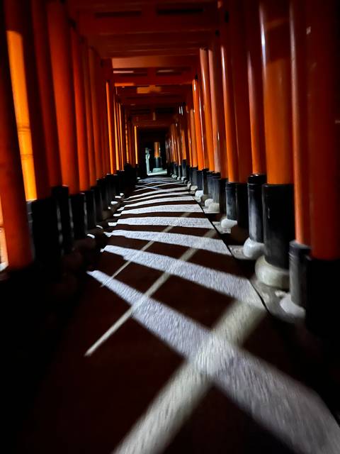 Torii gates at night creating abstract shadows.