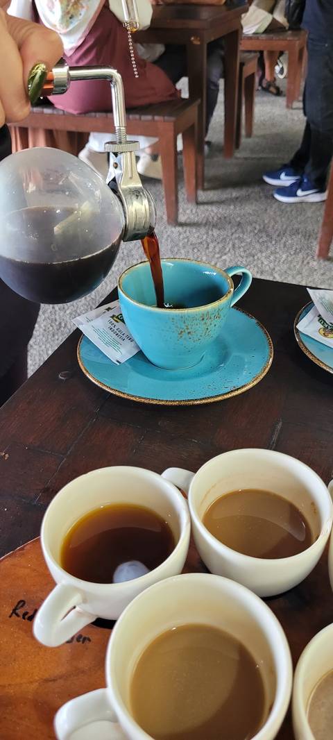 Coffee being poured into cups from a siphon coffee maker.