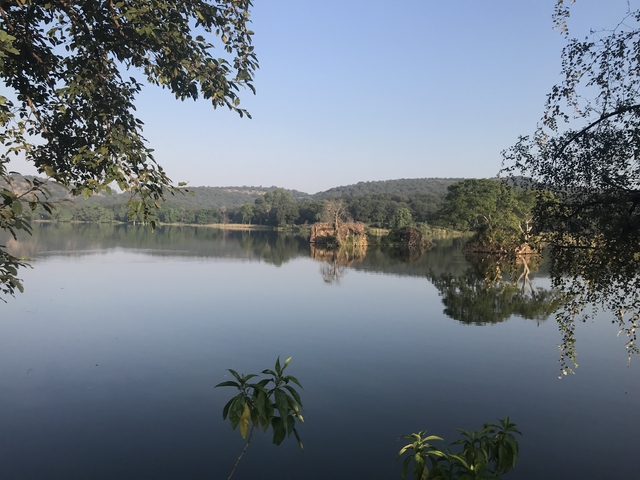       Scenic view of a calm lake with reflections of trees and sky.
  