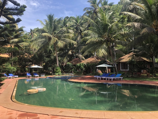 Resort with pool surrounded by palm trees.