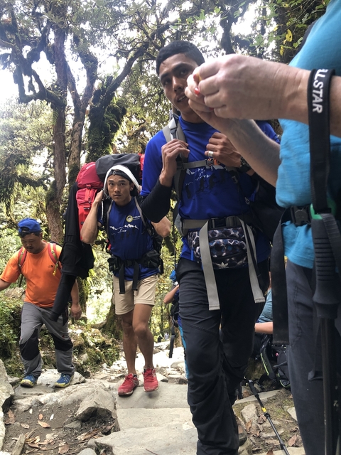 Hikers climbing through a forested area with backpacks.