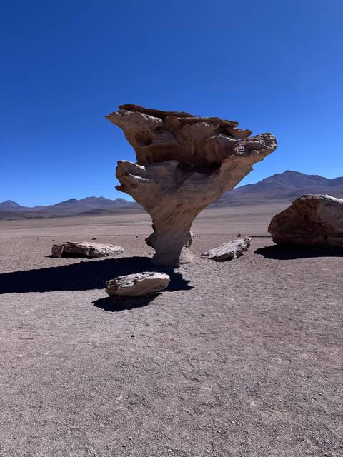 A unique rock formation in the desert resembling a tree.