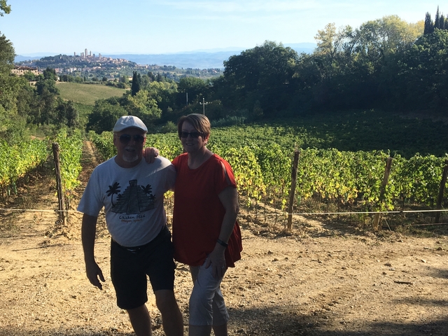       Couple standing in a vineyard.
  
