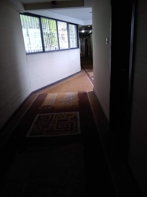 A dimly lit hallway.