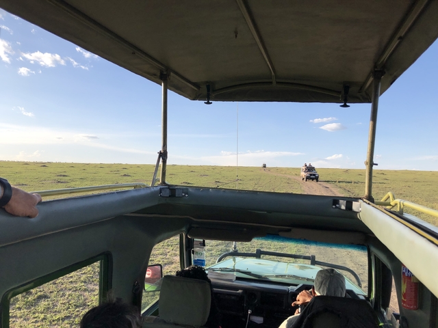 Open rooftop of a safari vehicle overlooking wildlife plains.