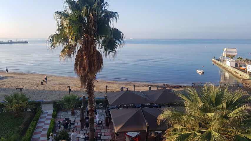 View of the beach with palm trees and calm sea.