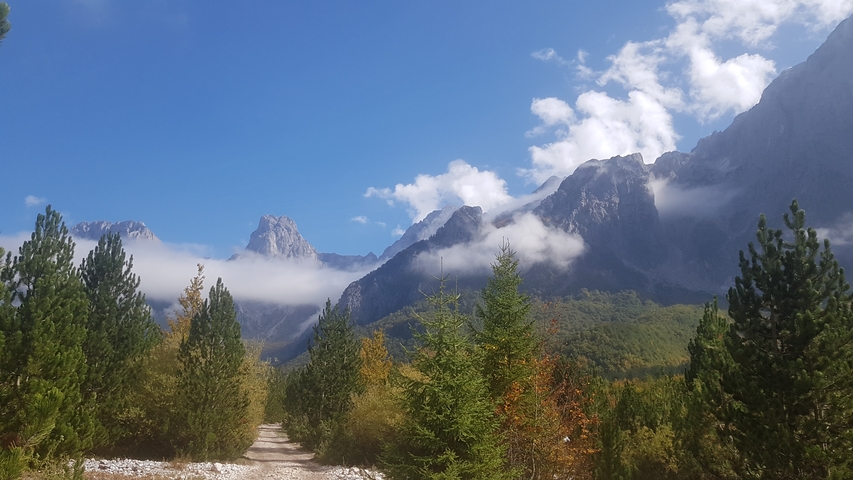 Mountain landscape with coniferous trees under a blue sky.