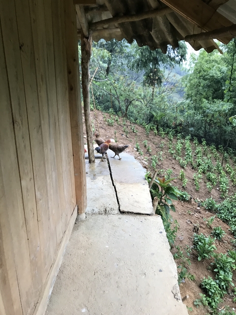 Chickens walking on a farm next to a building.