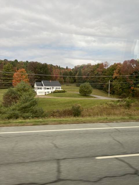       View of a house and surrounding greenery from a road.
  