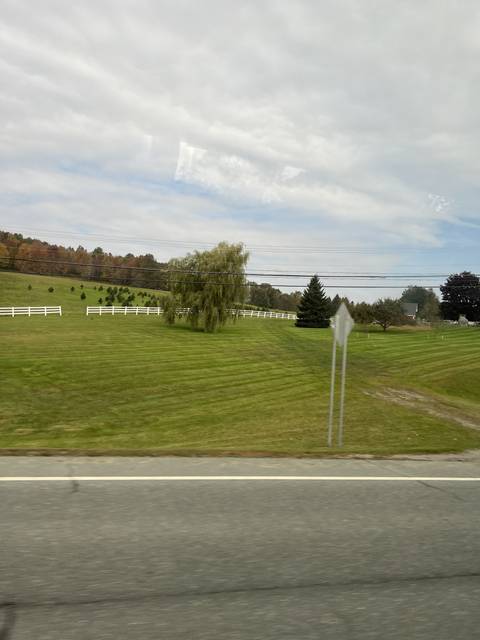 Green fields and trees by the roadside.