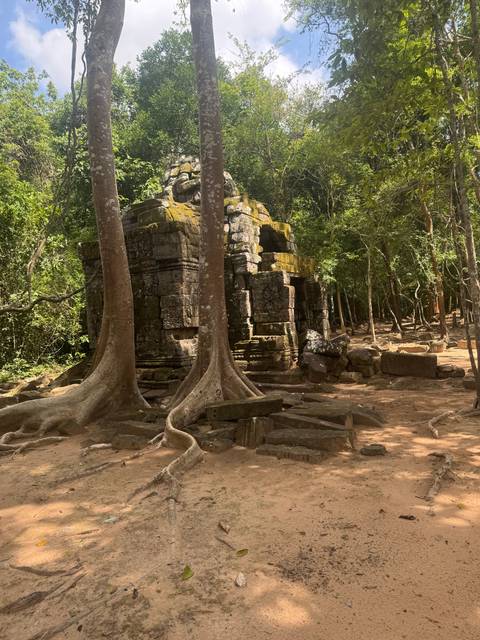 Ancient stone ruins surrounded by dense forest.