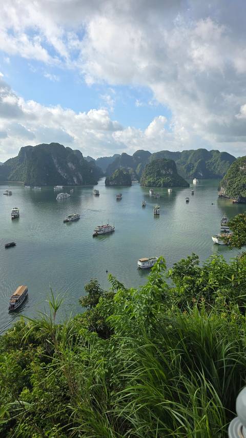      Multiple boats in a scenic bay with islands
  
