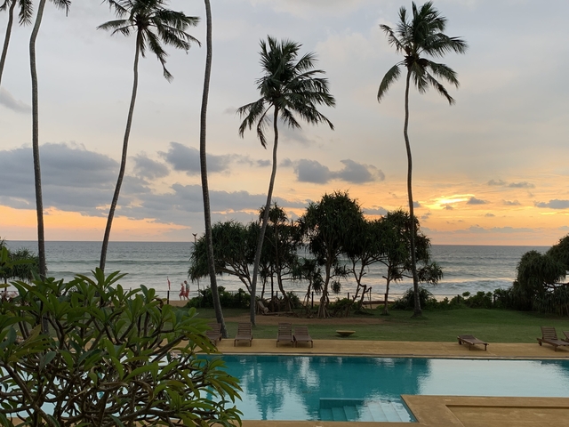 Palm trees silhouetted against a sunset over the ocean.