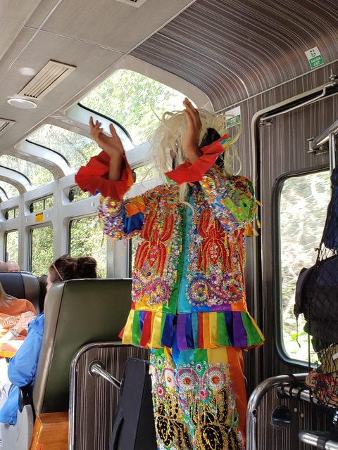Person in colorful attire inside a train.