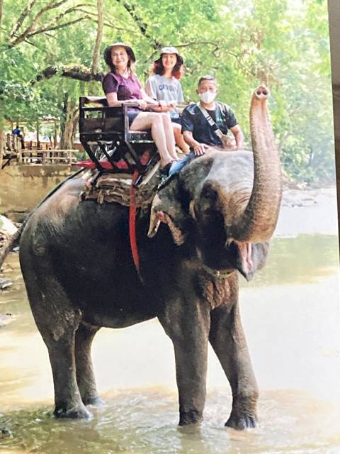 People riding an elephant in a nature setting with trees.