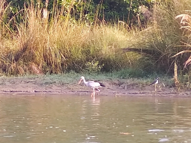 Klantbeoordelingsfoto van Nepal Cultuurreis en Rafting, Safari, Pokhara en Gecombineerde Sarangkot Wandeltocht 