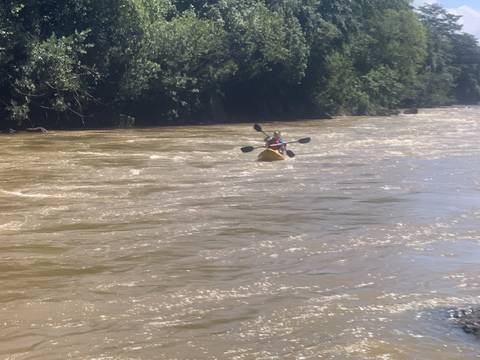       A person kayaking in a brown river surrounded by forest.
  