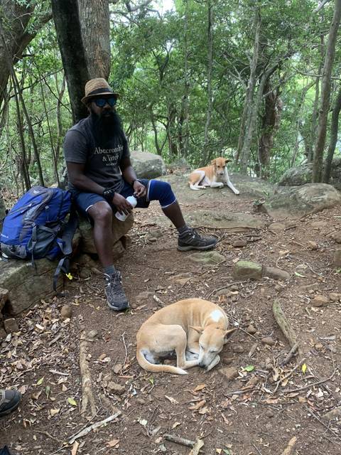       A person taking a break while trekking with two dogs resting nearby.
  