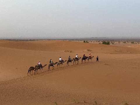       Camel caravan in the desert.
  