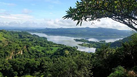       Scenic view of a lake surrounded by lush greenery.
  