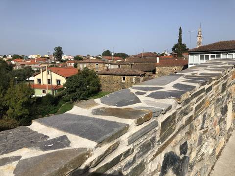       Stone wall with buildings visible in the background.
  