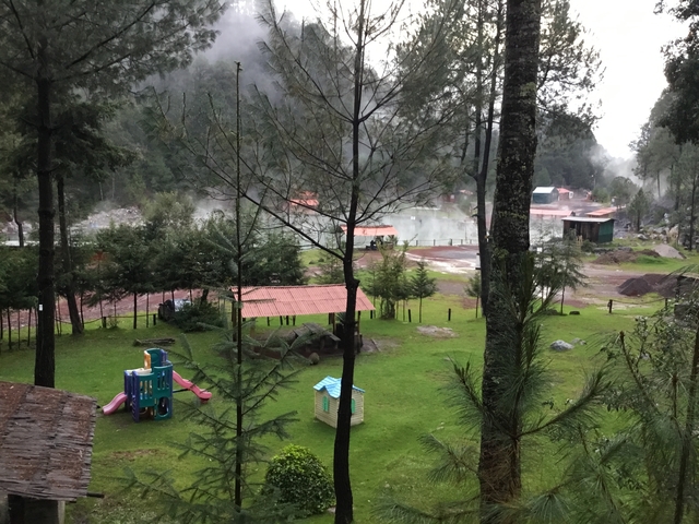       Scenic view of a forested area with playground equipment.
  