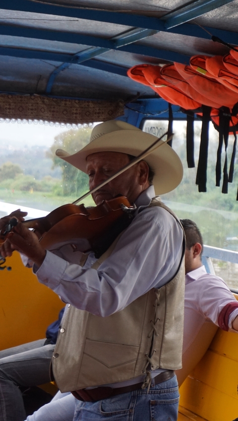       Musician playing the violin on a boat.
  