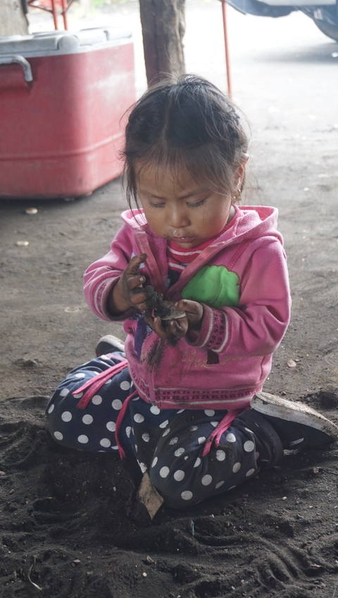       Child playing with dirt in an outdoor setting.
  