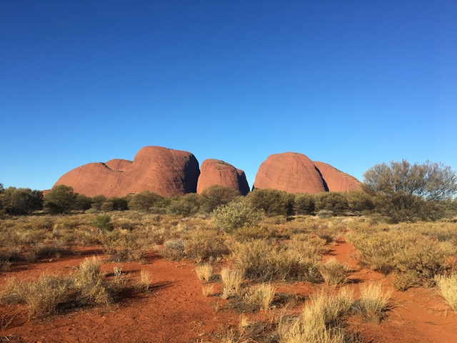 Kata Tjuta rock formations with a clear blue sky.