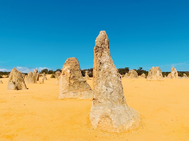 Pinnacle rock formations in a yellow desert landscape.