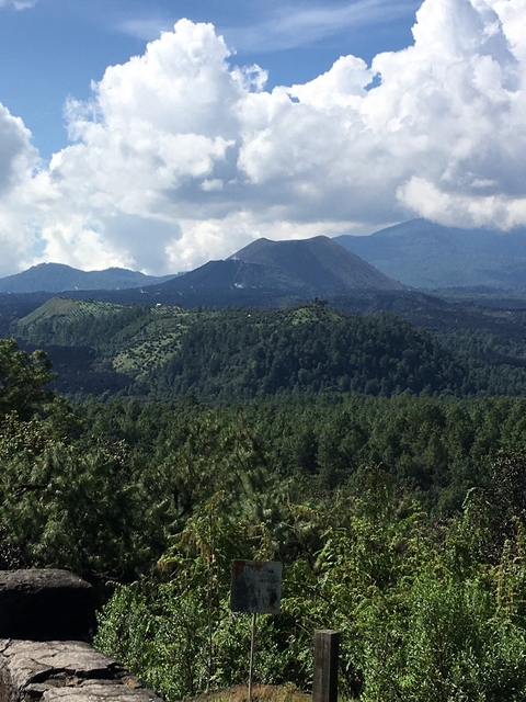       Lush forested mountain landscape with volcanic peaks.
  