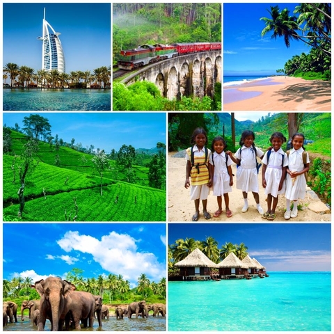       'The Original' Sri Lanka Island Tour 2024 customer review photo 
  