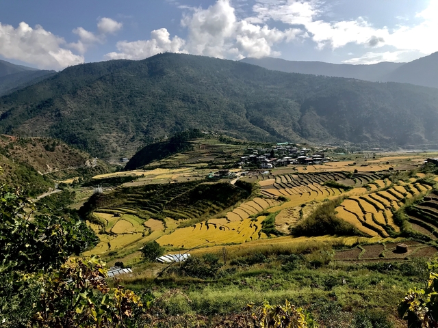 Terraced fields in a valley with mountains in the background.