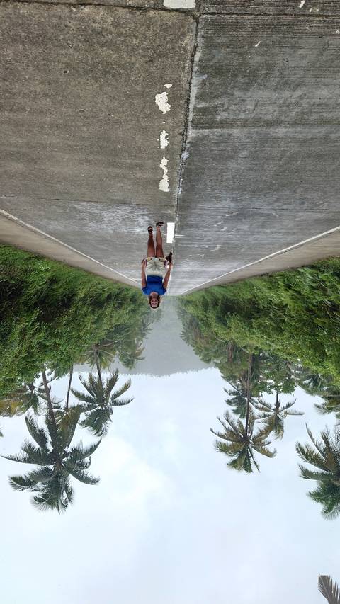       Person walking on a wet road with palm trees.
  