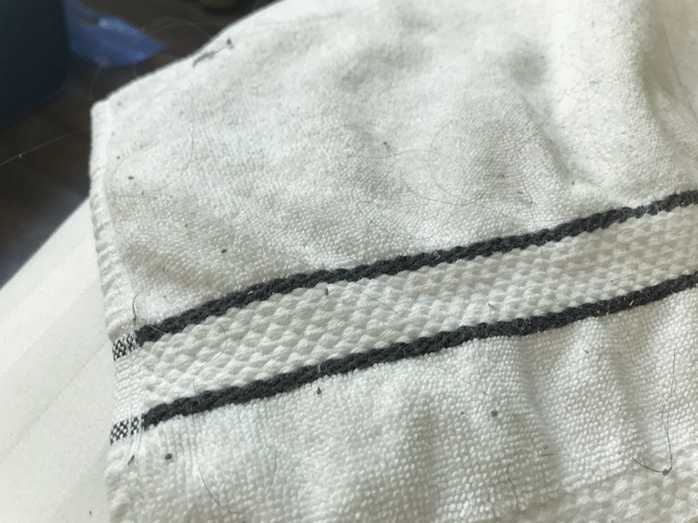 Close-up of a striped cloth with hairs.