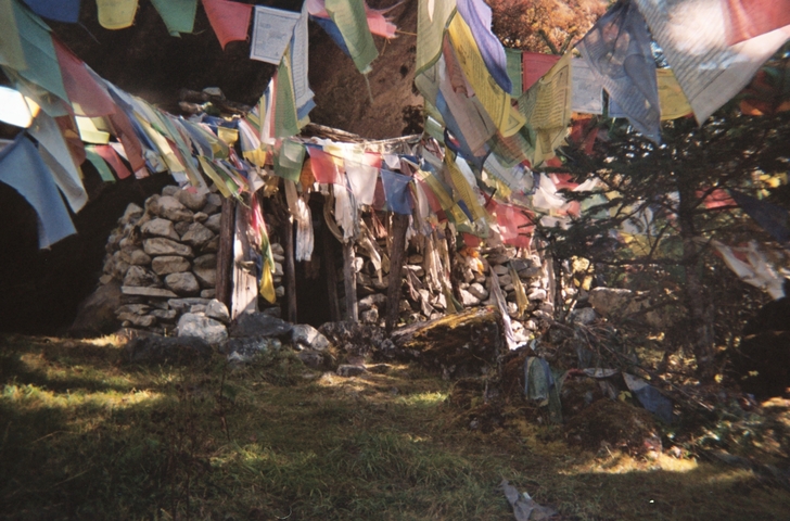 Colorful prayer flags in a forest setting.