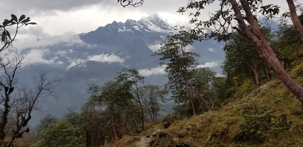       Snow-capped mountain peaks surrounded by trees and mist.
  