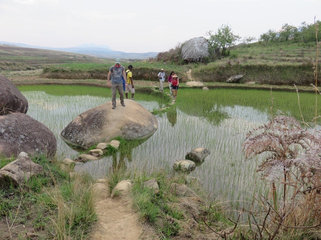 People crossing stepping stones over water in a rural area.